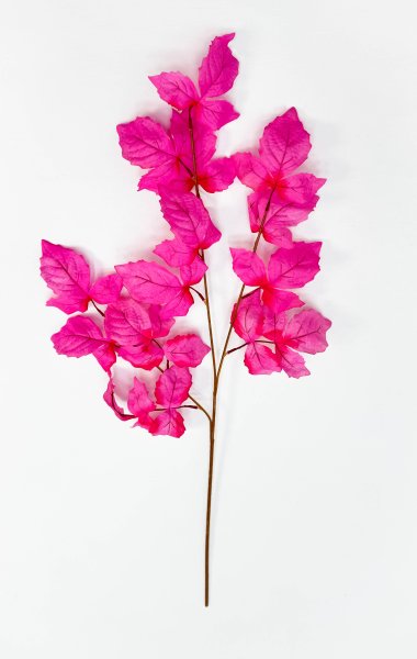 Ветка малины розовая