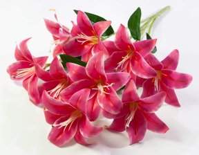 Букет лилий 9 цветков латекс