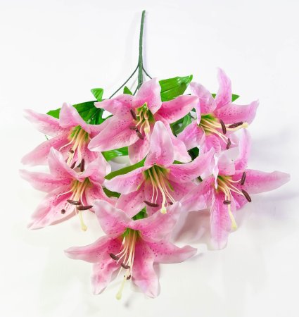 Лилия "Леди Элис" 7 цветков