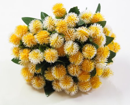 Репей садилка 5 цветков