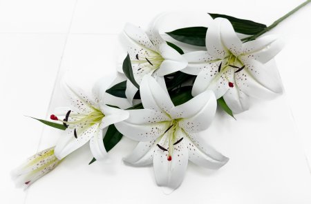 Ветка лилий "Мираж" 4 цветка 1 бутон