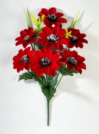 Астра бархатная с черной тычинкой 7 цветков