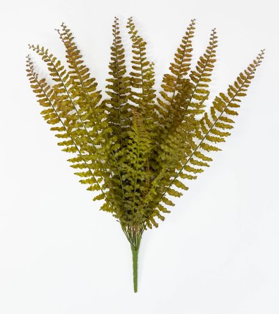 картинка Папоротник "Кучерявый" осенний 14 листов  от магазина KALINA