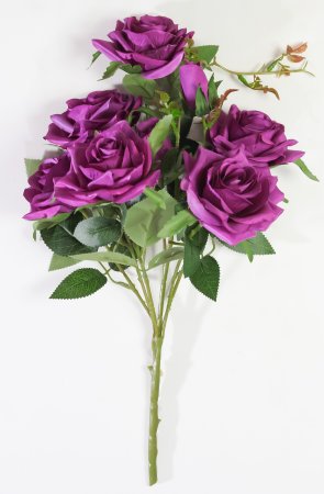 Букет роз Андриатика 6 цветков