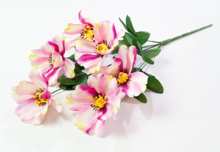 45c7e078cf5a371eb43de5b54e64126b