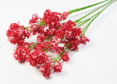 Ветка с мелким лотосом пластик