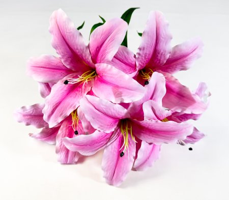 Букет лилий "Бодор" 5 цветков