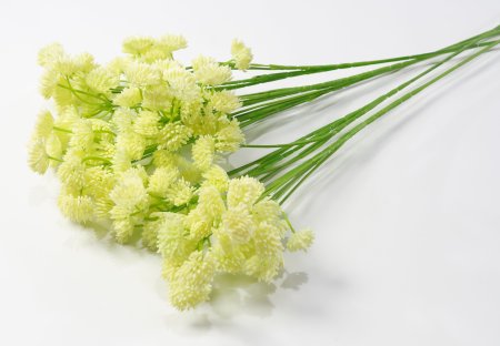 Ветка "Джуэл"