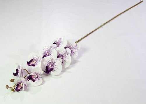 Ветка орхидеи 15 от магазина KALINA являющийся официальным дистрибьютором в России 