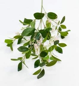 картинка Цеанотус розовый  от магазина KALINA