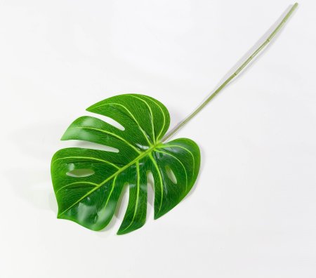 картинка Лист монстеры 1 от магазина KALINA