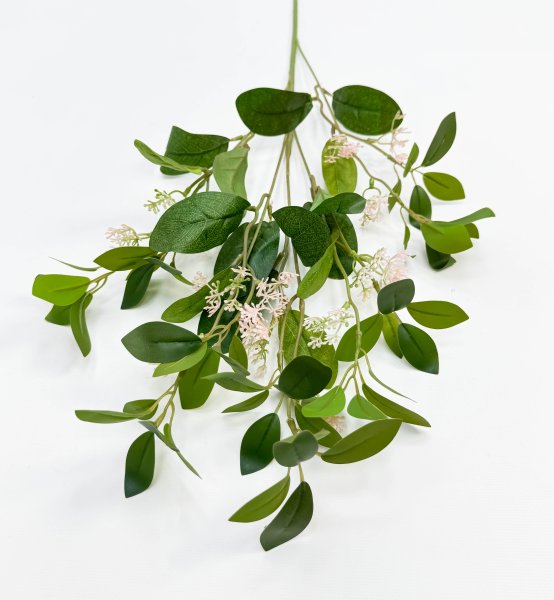 картинка Цеанотус розовый  от магазина KALINA