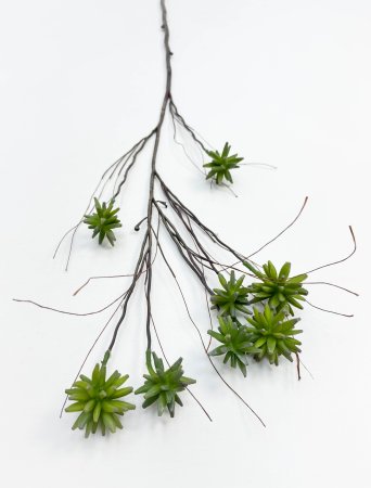 картинка Декоративная ветка "Суккулент грин" от магазина KALINA