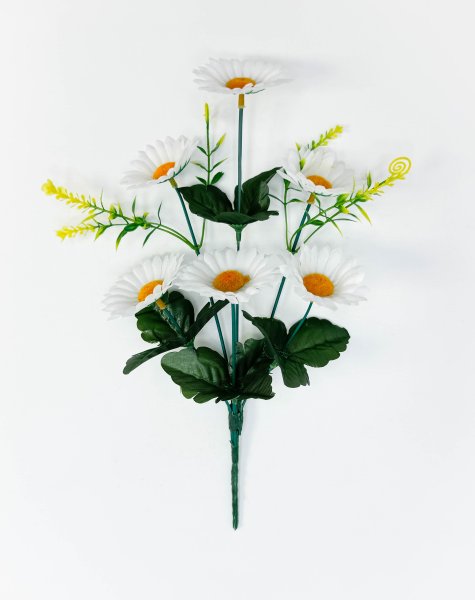 Ромашка "Вдохновение" 6 цветков