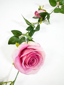 Лиана роза крупная от магазина KALINA являющийся официальным дистрибьютором в России 