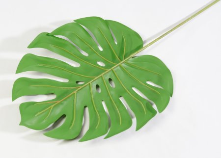 картинка Лист монстеры "Дарк грин" 2 от магазина KALINA