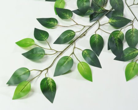 картинка Лист фикуса "Рафаэлла" от магазина KALINA