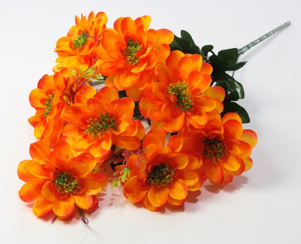 Георгин "Василиса" 9 цветков