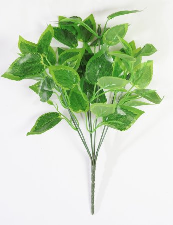 картинка Ветка колеуса от магазина KALINA