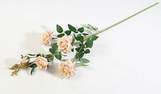 Ветка розы "Сфинкс" чайная роза от магазина KALINA являющийся официальным дистрибьютором в России 