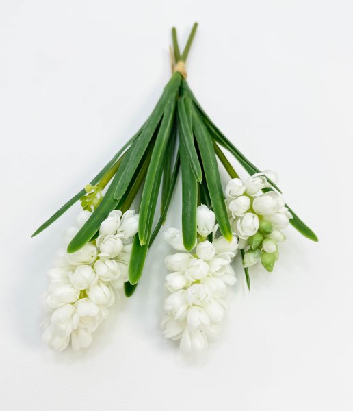 Гиацинт белый