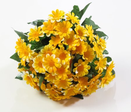 Ромашка садилка. 5 цветков.