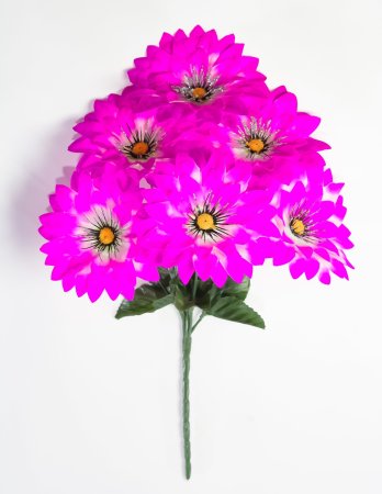 Георгин "Алинка" 6 цветков