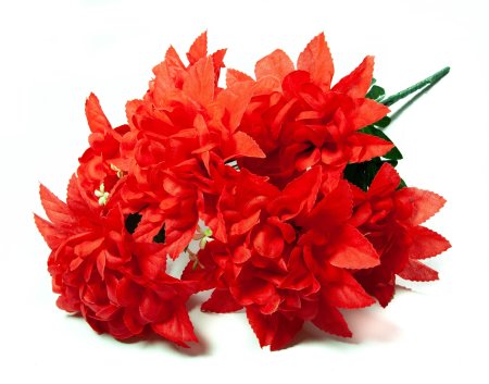 Букет астры "Звезда" 7 веток 7 цветков