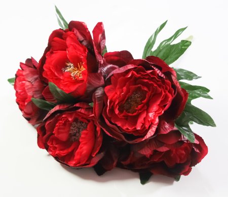 Букет пиона "Мэджик" 5 цветков