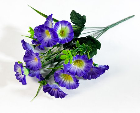 Петуния 15 цветков