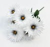Ромашка "Белогововник" 6 цветков