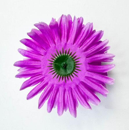 Хризантема "Софочка" сиреневая