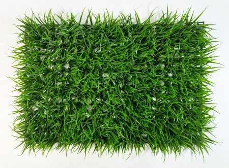 Газон "Садовый"