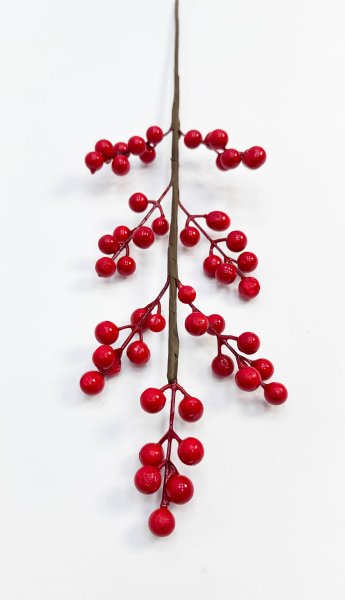 Ягода 7 веточек