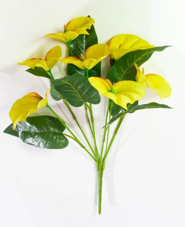 Букет калл "Тереза" 7 цветков