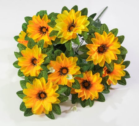 Георгин "Дуэт" 9 цветков 