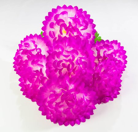 Шафран "Звезда великан"