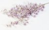 Ветка сакуры "Сезон" сиреневая