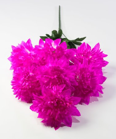 Астра "Женевьева" 7 цветков