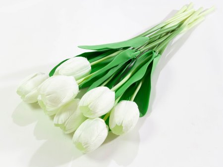 d69490e80e2c9582538613dab1c1ef5e