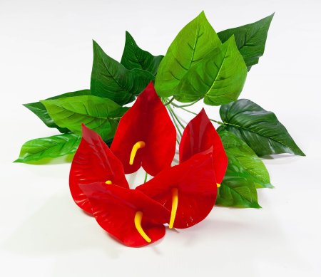 ee67892aa4a30bf6dc5c16d7d424fae3