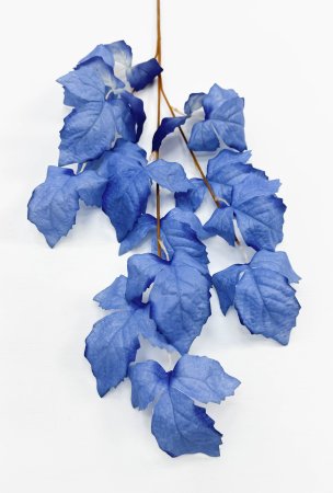 Ветка малины голубая