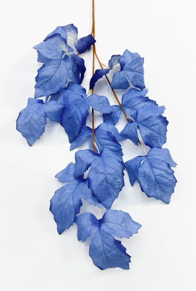 Ветка малины голубая