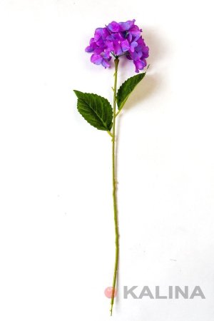 Ветка Гортензии "Даймонд"