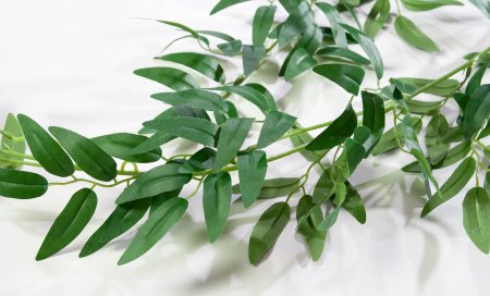 картинка Лиана олива от магазина KALINA