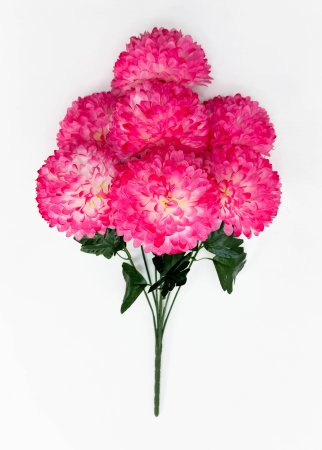 Хризантема "Дыхание заката" 7 цветков