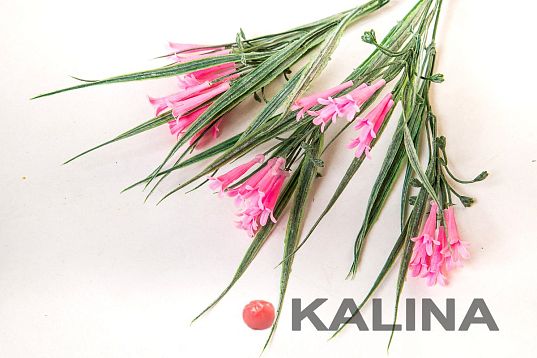 Букет колокольчика "Патина" розовый от магазина KALINA являющийся официальным дистрибьютором в России 