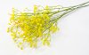 Ветка гипсофилы "Желтая"
