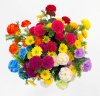 Хризантема с ромашкой «Цветочный коктейль» 11 цветков 