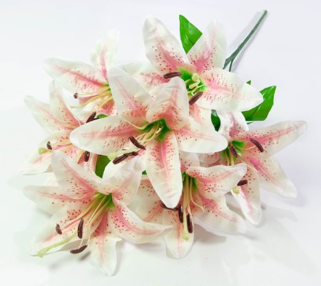 Лилия "Леди Элис" 7 цветков